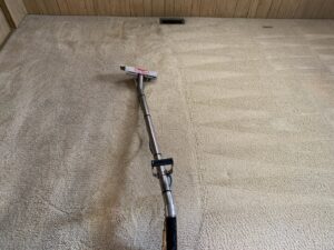 A professional carpet cleaning tool in action, showing the cleaning process by Easy Clean Carpet Care in Citrus Heights, CA