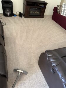 Professional carpet cleaning in process in a living room by Central California King of Clean LLC in Bakersfield, CA.
