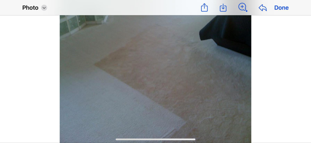 A professional carpet cleaning process underway in a residential setting by Zerorez Wichita in Wichita, KS.