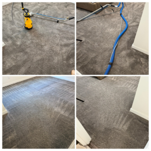 Carpet cleaning process with a sprayer, hoses, and cleaning wand by Alex & Mary Carpet & Upholstery Cleaning in Tacoma, WA.