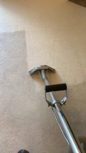 A close-up of a carpet cleaning wand in use, revealing a clean path on a light-colored carpet by Koky's Carpet Cleaning in Bakersfield, CA