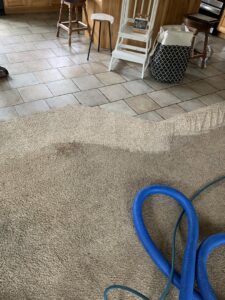 Carpet cleaning in progress, showing clean and dirty carpet with blue hoses from Carpet Cleaning Pros LLC in Eau Claire, WI.