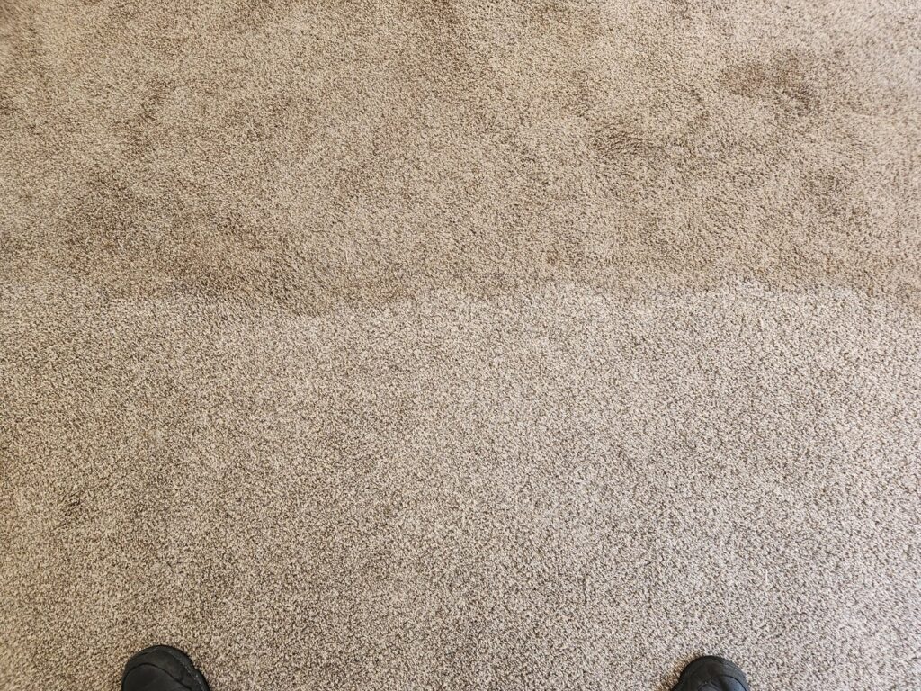 A clean strip on a carpeted floor showing the progress of carpet cleaning by Andy's Cleaning Company LLC in Topeka, KS.