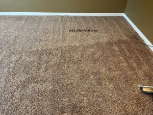 A carpet cleaning job in progress, highlighting the rinsed and yet-to-be-rinsed areas by Jason Lostetter Carpet Cleaning in New Glarus, WI.