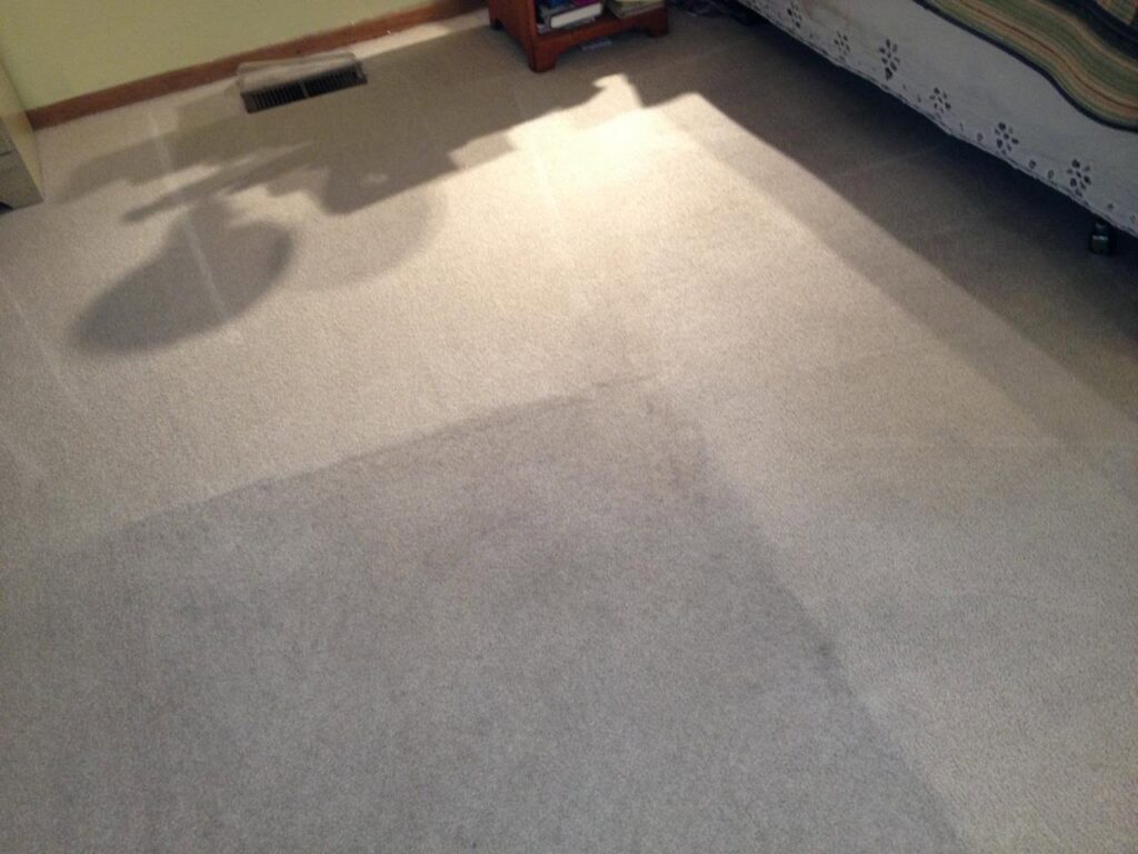Carpet cleaning in progress, showing a distinct clean path by Healthy Home Carpet Care in Houston, TX.