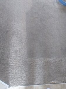 Carpet cleaning in progress, showing the difference between clean and dirty sections by A Plus Carpet Care in Redondo Beach, CA.