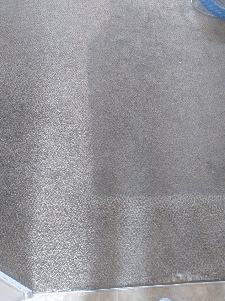 Carpet cleaning in progress, showing the difference between clean and dirty sections by A Plus Carpet Care in Redondo Beach, CA.