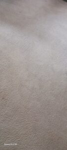 A close-up view of carpet showing a clean strip next to an uncleaned area during a service by Greensboro Carpet Cleaning - DeepClean in Greensboro, NC