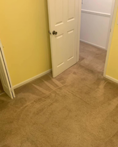 Cleaned carpet showing fresh cleaning lines in a bedroom by Holland's pressure washing and carpet cleaning LLC in Columbus, GA