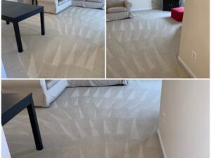 A collage showing the excellent carpet cleaning results by Professional Carpet Care Laurel in Laurel, MD
