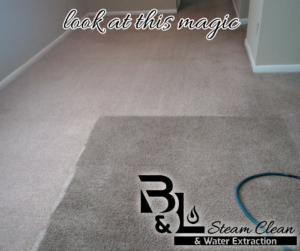 Visible results of carpet cleaning in a hallway, showing clean and dirty sections by B&L Steam Clean & Water Extraction LLC in Columbia, MO