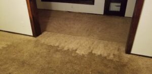 Visible results of carpet cleaning in a home, showing a clean strip on a light brown carpet by Crawford's Carpet Cleaning in Oklahoma City, OK.