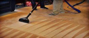 A professional performing carpet cleaning service with specialized equipment at Alexandria Green Carpet & Rug Cleaning in Alexandria, VA.