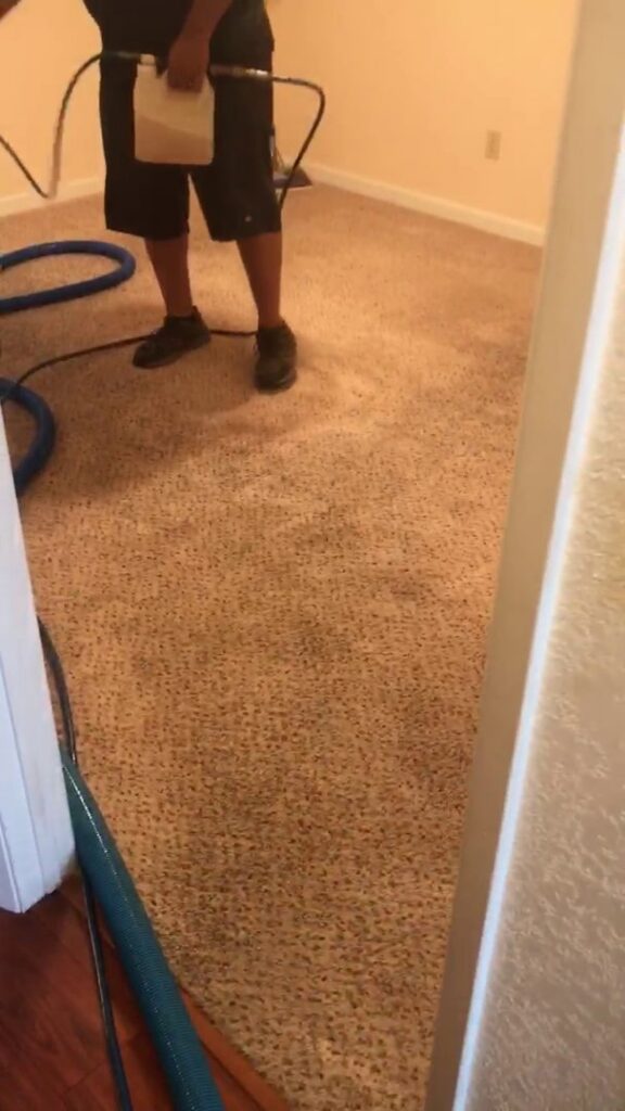 A professional performing carpet cleaning with a wand on a light-colored carpet for Alex's Janitorial and Carpet Cleaning in Bakersfield, CA