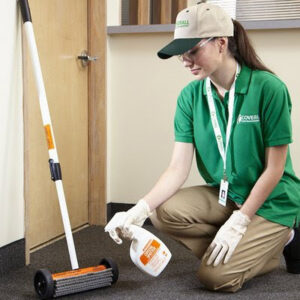 A Coverall technician performing carpet cleaning services in Milford, CT