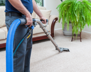 A professional performing carpet cleaning service with a machine on a light-colored carpet by Father and Son Companies in Gaithersburg, MD.