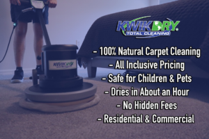 A professional performing carpet cleaning with a machine for Jacksonville Kwik Dry Total Cleaning in Jacksonville, FL.