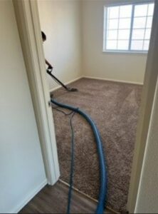 A professional performing carpet cleaning service in a residential room by Precise Carpet Care in Albuquerque, NM.