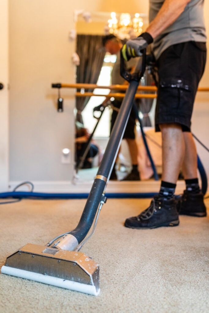 A professional performing carpet cleaning service for Renew Cleaning Services in Scottsdale, AZ.