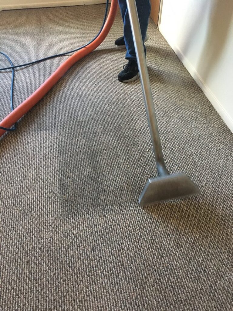 A carpet cleaning wand and hose in action on a brown carpet by Eagle 1 Carpet Cleaning in Reno, NV.