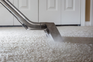 A professional carpet cleaning steaming wand in action on a white carpet by DanCare Carpet Cleaning in Albuquerque, NM