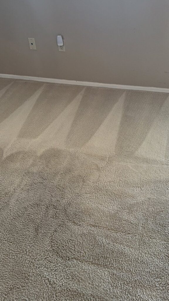 A freshly cleaned carpeted floor showing distinct cleaning streaks from a professional carpet cleaning service by Alex's Janitorial and Carpet Cleaning in Bakersfield, CA