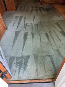 Carpet showing distinct cleaning streaks after a professional service by Chem-Dry of Winston-Salem in Winston-Salem, NC.