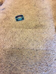 Carpet showing a clean strip next to a dirty section, demonstrating cleaning effectiveness by Rug Rescue Carpet & Upholstery Cleaning in Puyallup, WA.