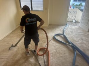 A carpet cleaning technician from Arise Carpet Cleaning working in Kailua, HI.