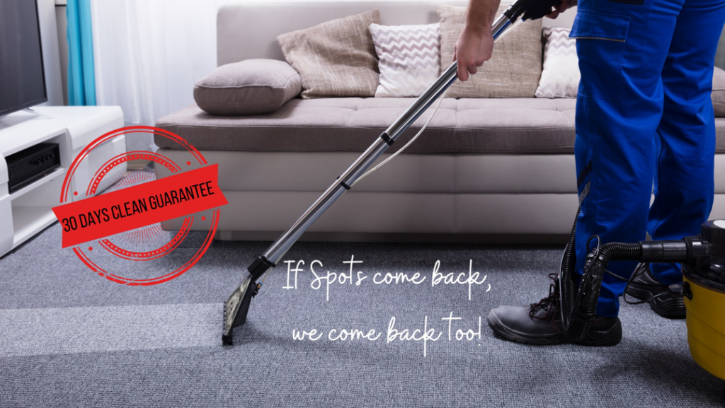 A professional carpet cleaning technician at work, deep cleaning a gray carpet for Millers Carpet Care in Elk Grove Village, IL.