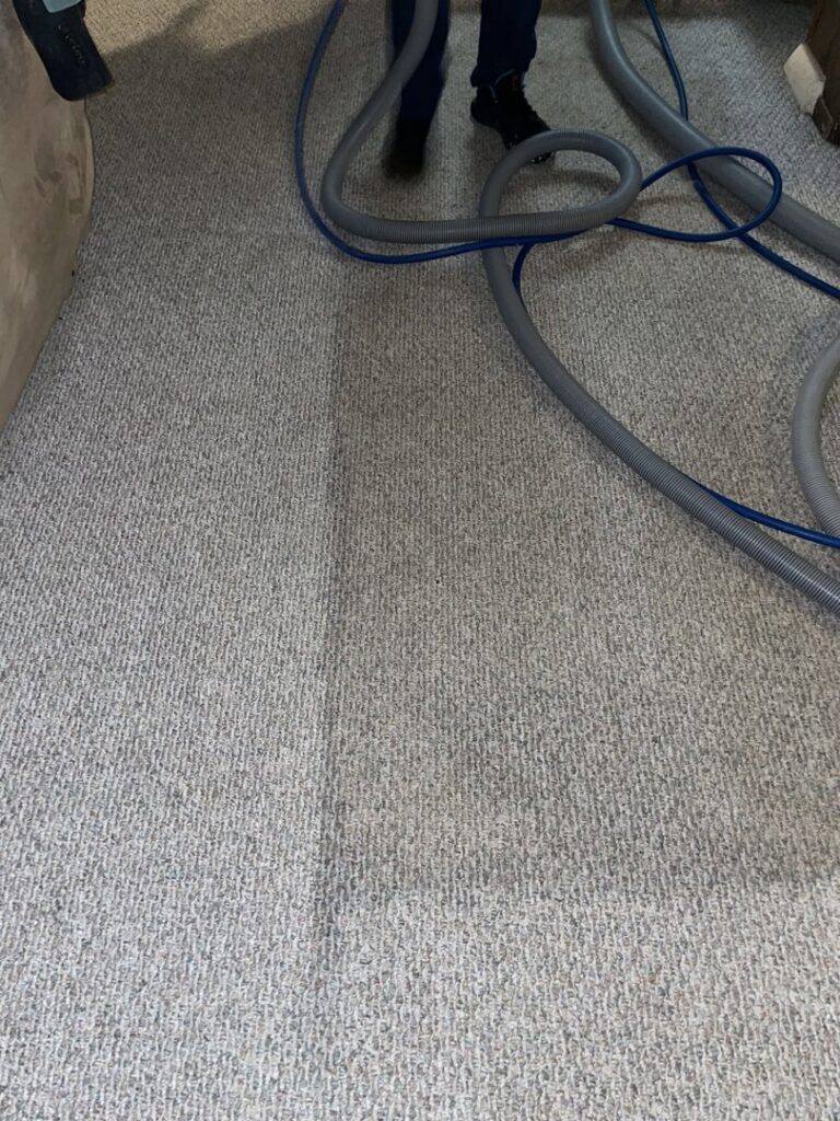 A carpet cleaning technician actively working on a carpet with hoses, provided by Captain Clean in Muncie, IN.