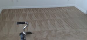 A carpet cleaning tool in action, showing a clean path on a dirty carpet by M&M Carpet & Tile Care in Cape Coral, FL