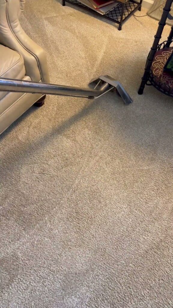 Carpet cleaning tool demonstrating before and after results on a carpet by Done Right Carpet Cleaning Omaha, NE.