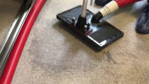Carpet cleaning tool and hose on a carpet with visible clean lines by Allen Rapid Dry Carpet Cleaning in Anchorage, AK.