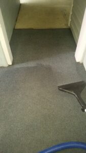 A carpet cleaning tool in action, demonstrating professional service by BareFoot Clean, Inc. in Virginia Beach, VA.