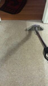 A professional carpet cleaning tool in action, showing a clean path on a dirty carpet by LS Upstate Cleaning in Greenville, SC.
