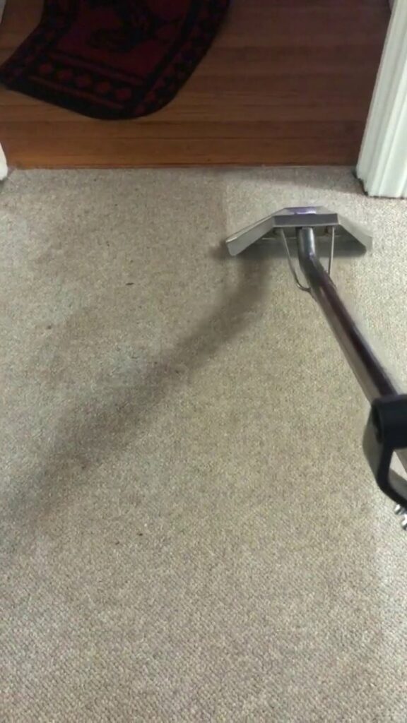 A professional carpet cleaning tool in action, showing a clean path on a dirty carpet by LS Upstate Cleaning in Greenville, SC.