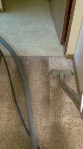 A professional carpet cleaning tool in action, showing a clear line between dirty and clean carpet by Norris Carpet Care in Watertown, SD.