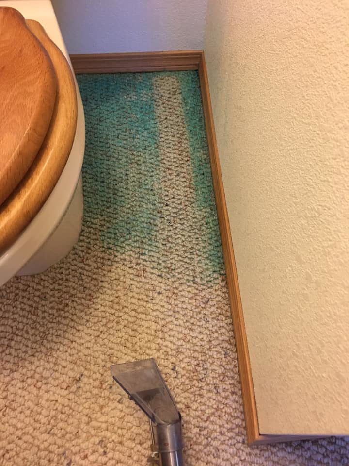 A professional carpet cleaning tool actively cleaning a light-colored carpet around a toilet at Sam's Carpet Care in Wasilla, AK.