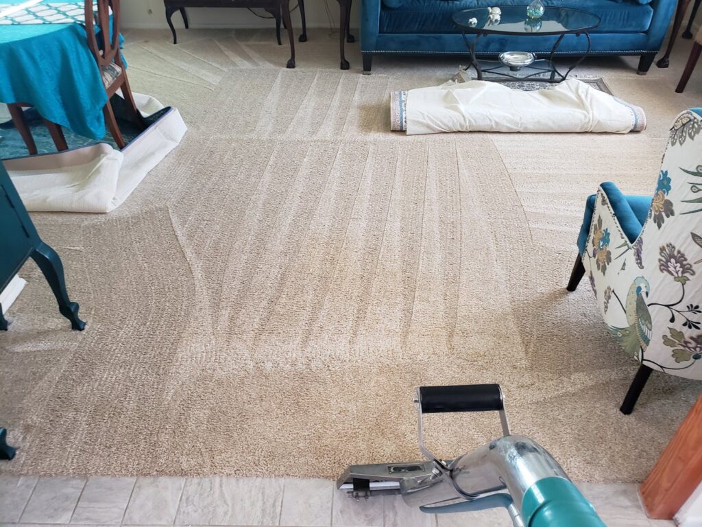 A professional carpet cleaning tool in action, showing the cleaning process by Steamaway Carpet Cleaning in Albuquerque, NM.