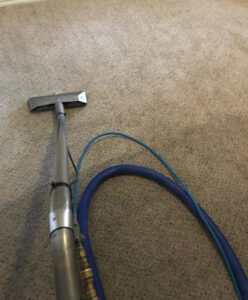 A professional carpet cleaning tool in action on a carpet by A Brighter Cleaning Service in Arlington, TX.