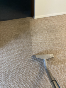 A carpet cleaning tool actively cleaning a light brown carpet, showing a clean path by CityWide Carpet & Upholstery Care in Pittsburgh, PA.