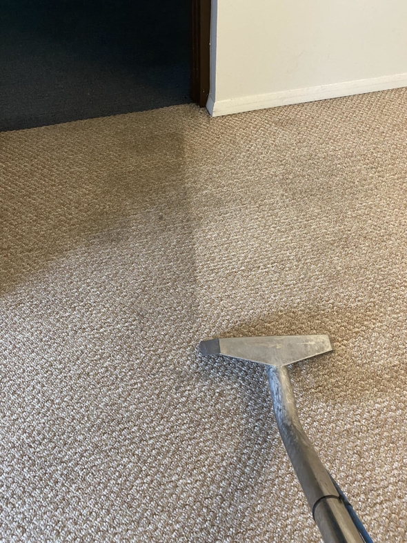 A carpet cleaning tool actively cleaning a light brown carpet, showing a clean path by CityWide Carpet & Upholstery Care in Pittsburgh, PA.