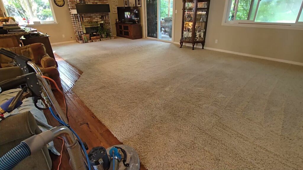 Carpet cleaning in progress near a wood floor transition by Pro Team Carpet Cleaning Sacramento, CA.