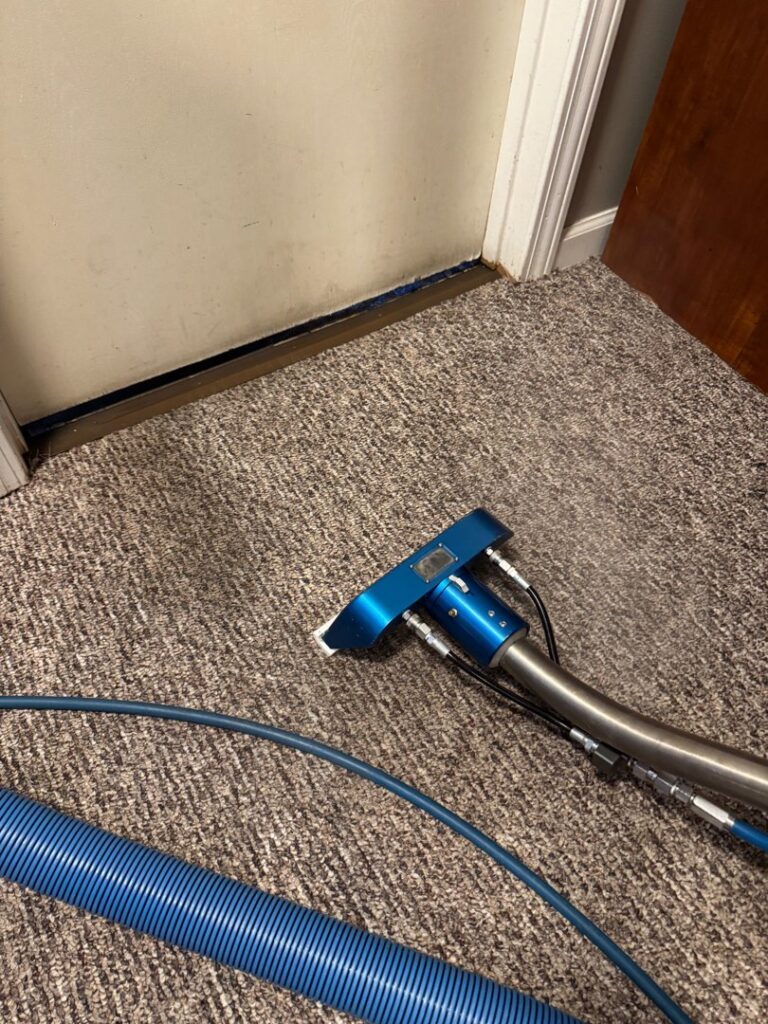 A professional carpet cleaning wand and blue hose in action on a carpet by Ohana Clean llc in Saint Paul, MN