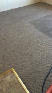 A carpet cleaning wand in action on a brown carpet, showing a clean path by Eagle 1 Carpet Cleaning in Reno, NV.