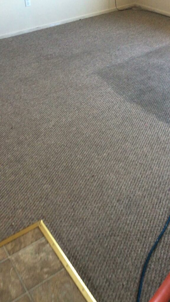 A carpet cleaning wand in action on a brown carpet, showing a clean path by Eagle 1 Carpet Cleaning in Reno, NV.