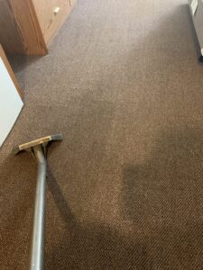 A carpet cleaning wand in action on a brown carpet, showing a clean path by Eagle 1 Carpet Cleaning in Reno, NV.