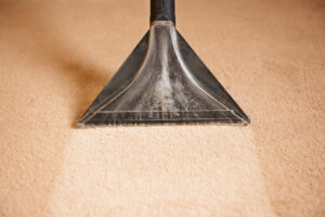 A close-up of a carpet cleaning wand creating a clean strip on a beige carpet by Steamway Carpet Cleaning in El Paso, TX