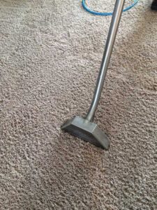 A close-up view of a carpet cleaning wand in action on a carpet by All Kleen Carpet Cleaning in Mountlake Terrace, WA.